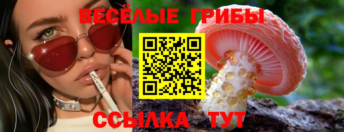 Аксай  Галлюциногенные грибы Cubensis  Вход с VPN  Галлюциногенные грибы MAGIC MUSHROOMS 